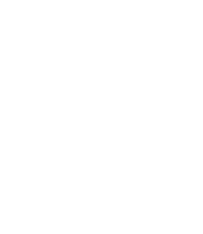 The Black Crow